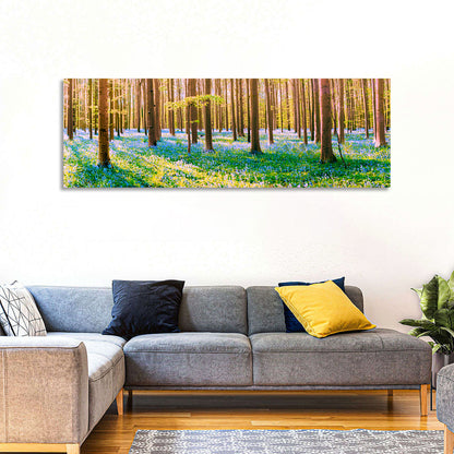 Hallerbos Forest Wall Art