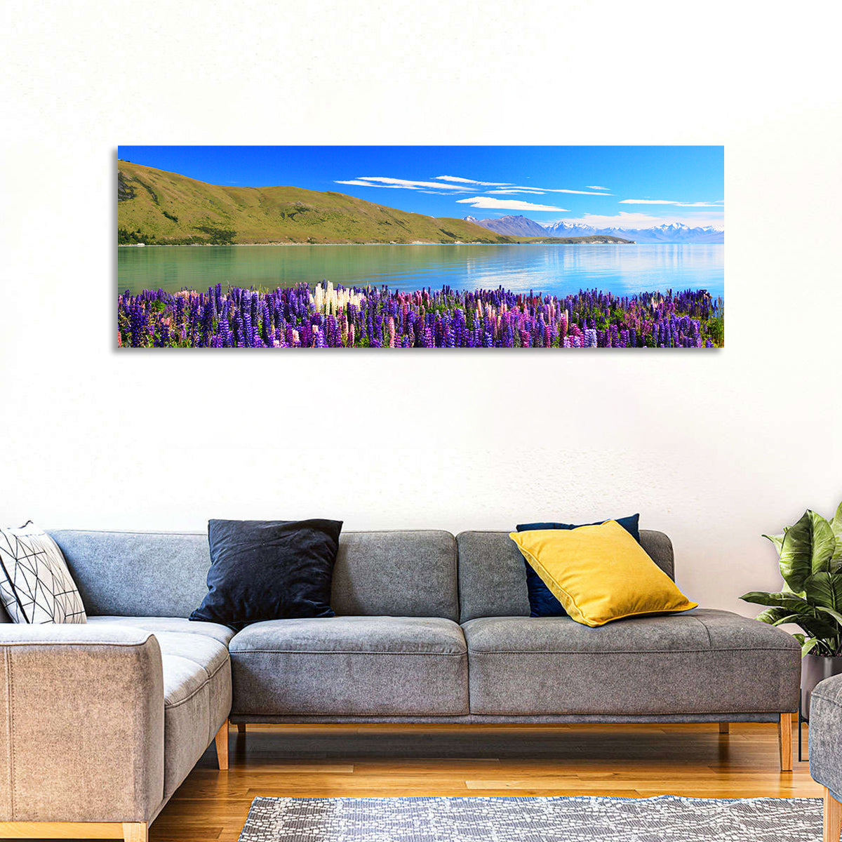 Lake Tekapo Lupine Fields Wall Art in a room, panoramic