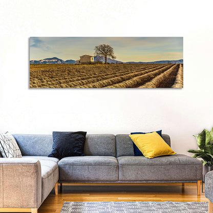 Provence Lavender Wall Art