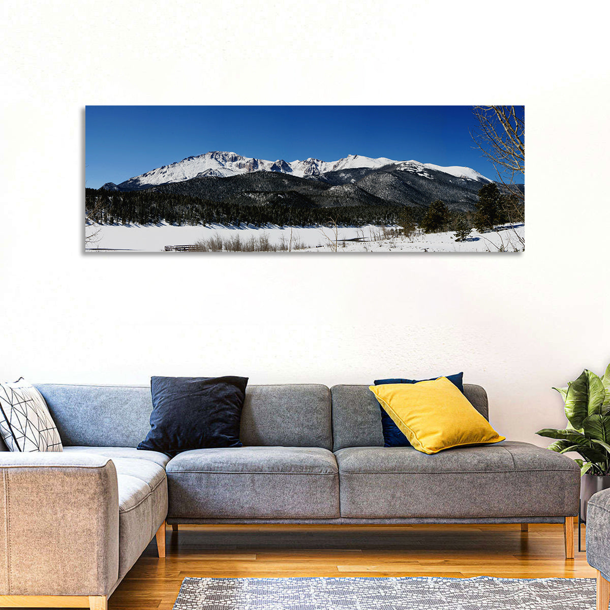 Pikes Peak Winter View Wall Art