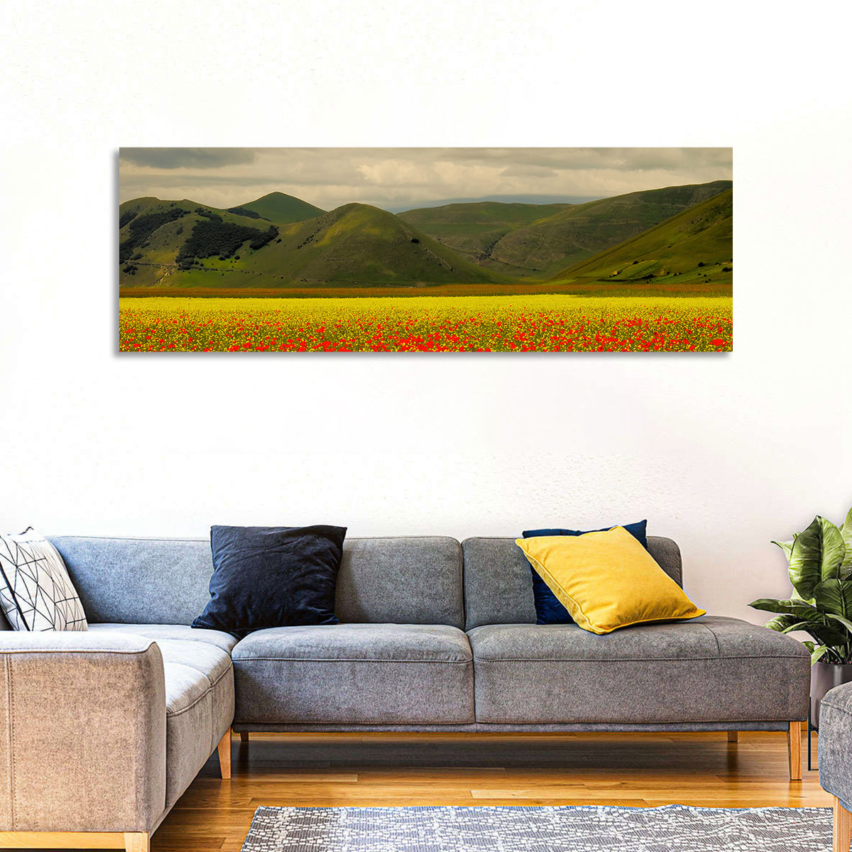 Castelluccio Wildflower Meadow Wall Art in a room, panoramic