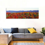 Autumn in the Appalachian Forest Wall Art