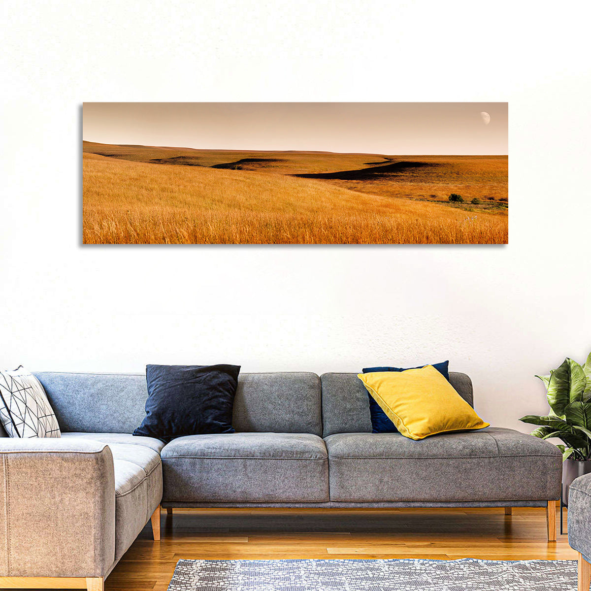 Kansas Tallgrass Prairie Wall Art in a room, panoramic