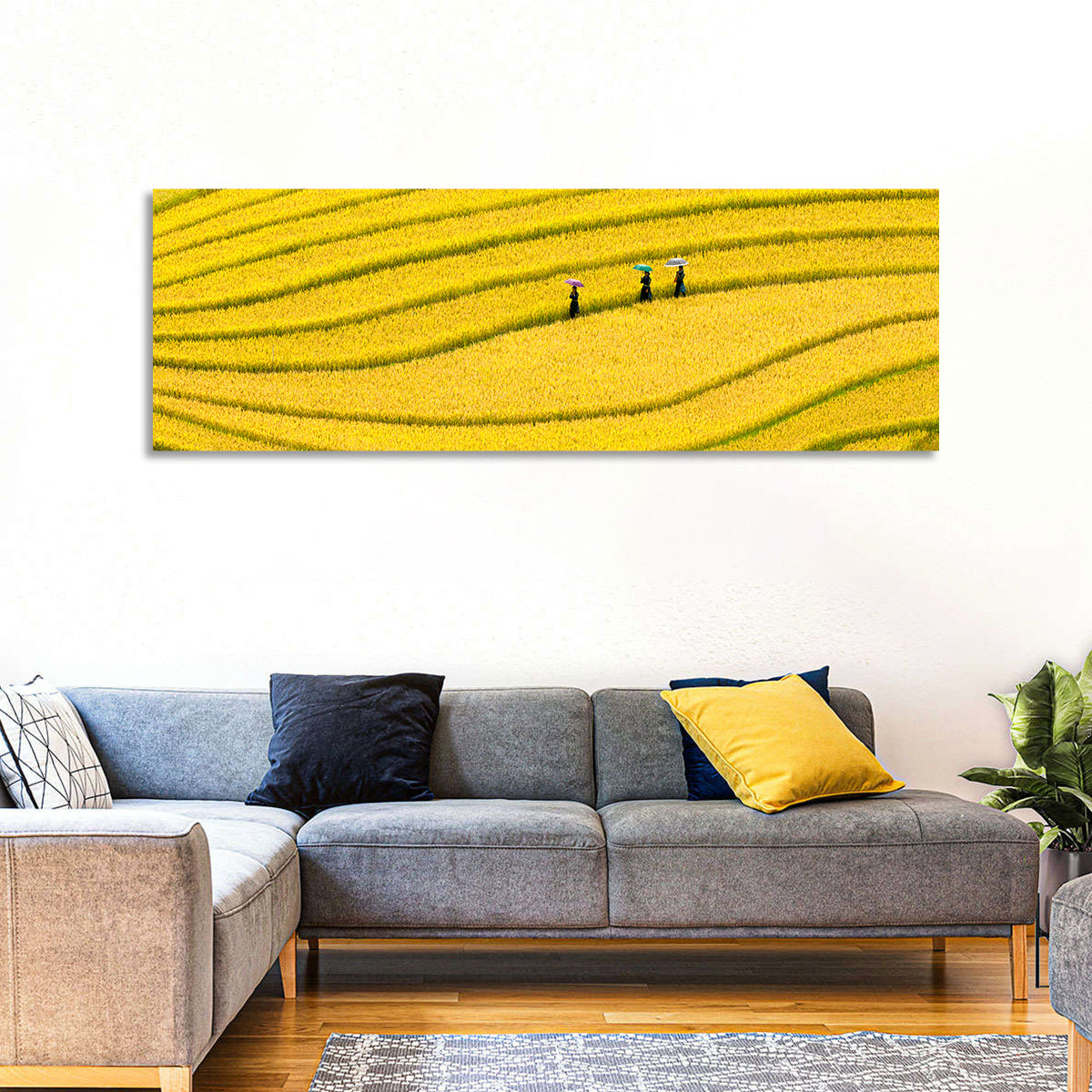 Golden Rice Terraces with Umbrellas Wall Art in a room, panoramic