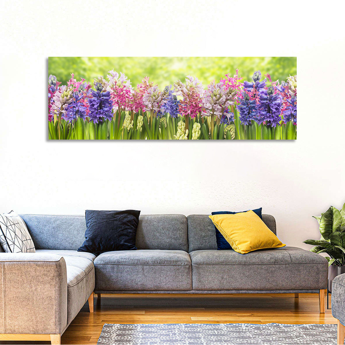 Hyacinth Cluster in Bloom Wall Art in a room, panoramic