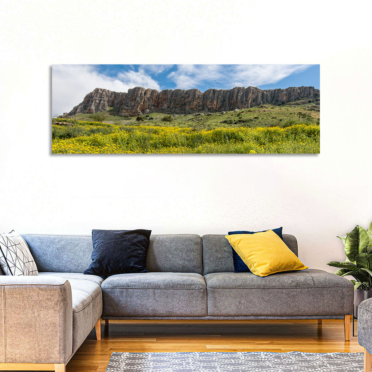 Mount Arbel Wildflower Meadow Wall Art in a room, panoramic