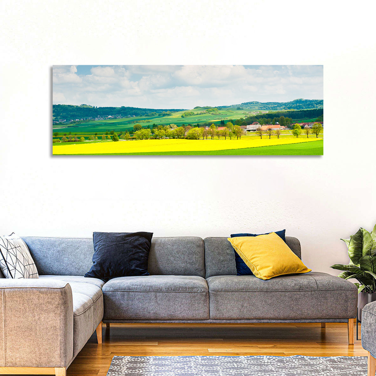 Czech Rapeseed Fields Wall Art in a room, panoramic