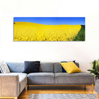 Sunlit Rapeseed Field Wall Art