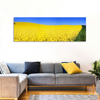 Rapeseed Field Wall Art