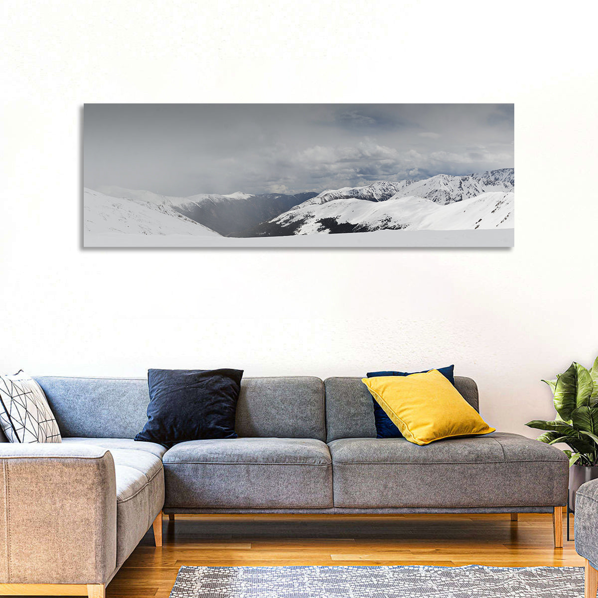 Snowy Colorado Mountains Wall Art in a room, panoramic