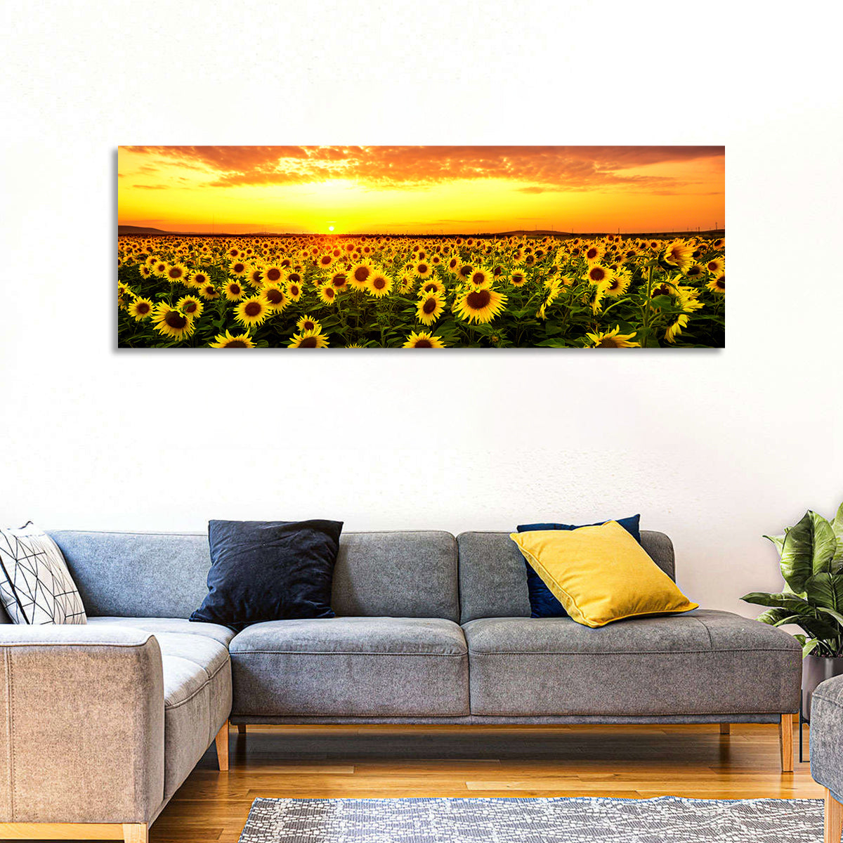 Golden Hour Sunflower Field Wall Art in a room, panoramic