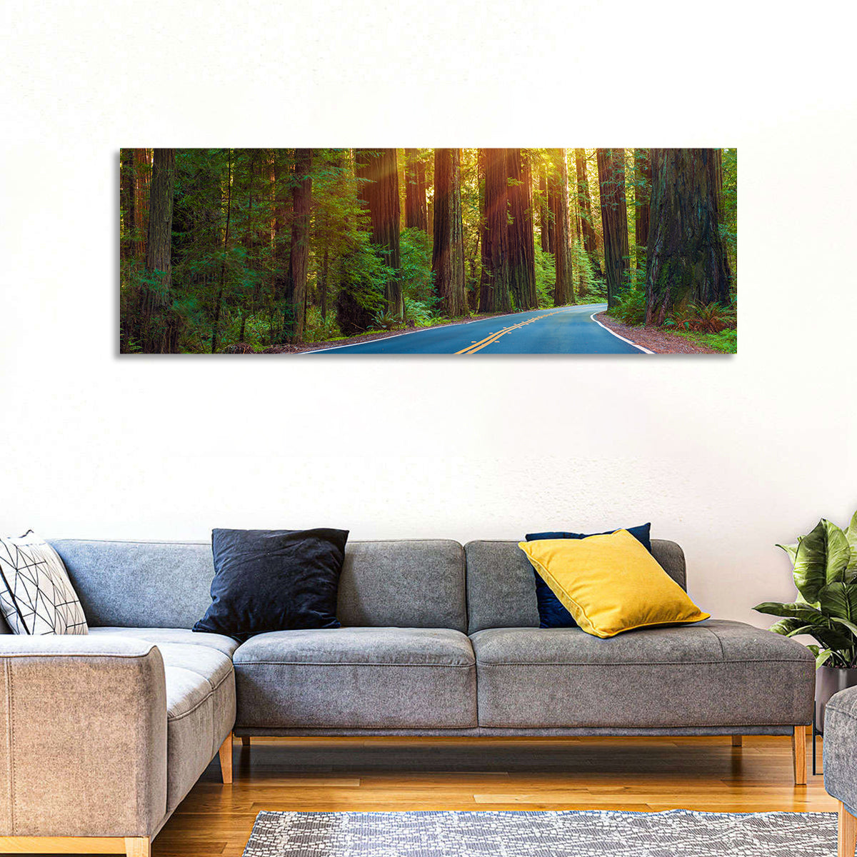 Sunlit Redwood Highway Wall Art