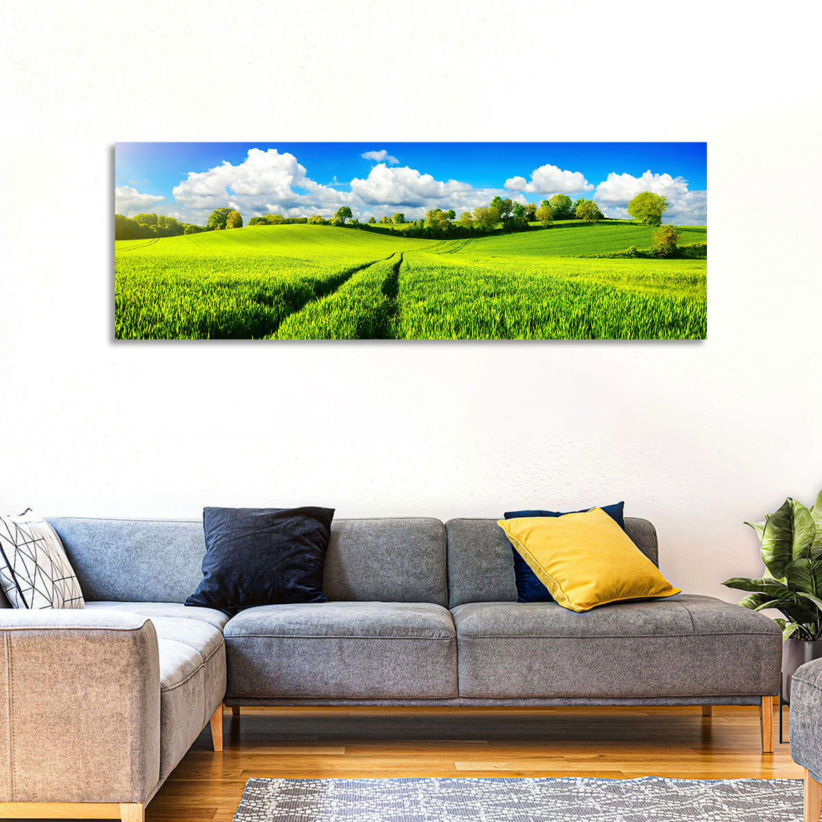 Tractor Tracks Through Green Rolling Hills Wall Art in a room, panoramic
