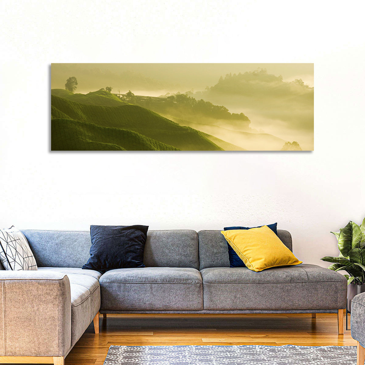 Tea Plantation Morning Mist Wall Art in a room, panoramic