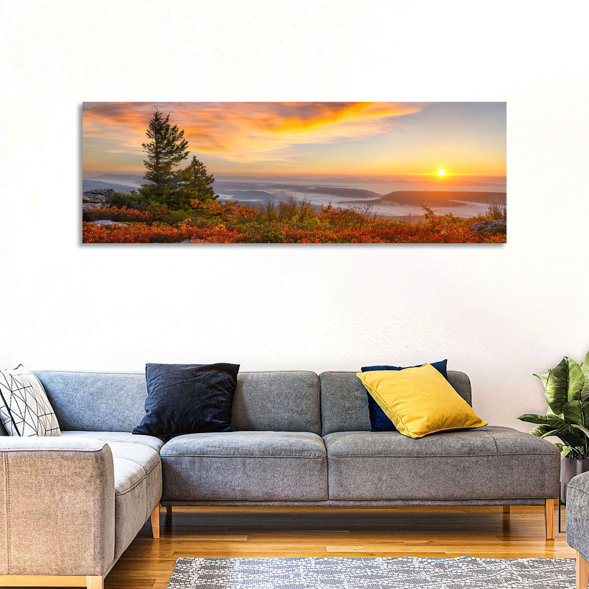 Sunrise Over Dolly Sods Wall Art in a room, panoramic