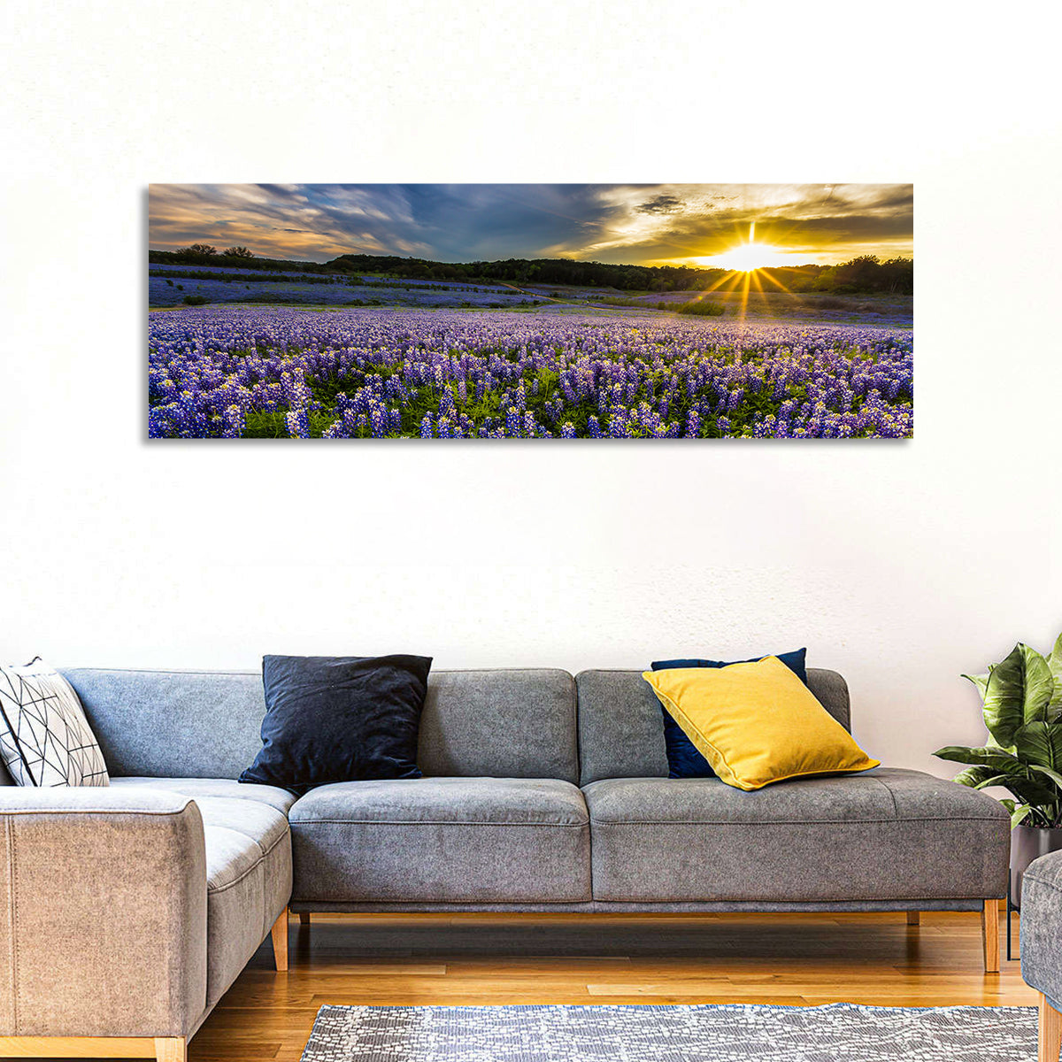 Texas Bluebonnet Field at Sunset Wall Art in a room, panoramic