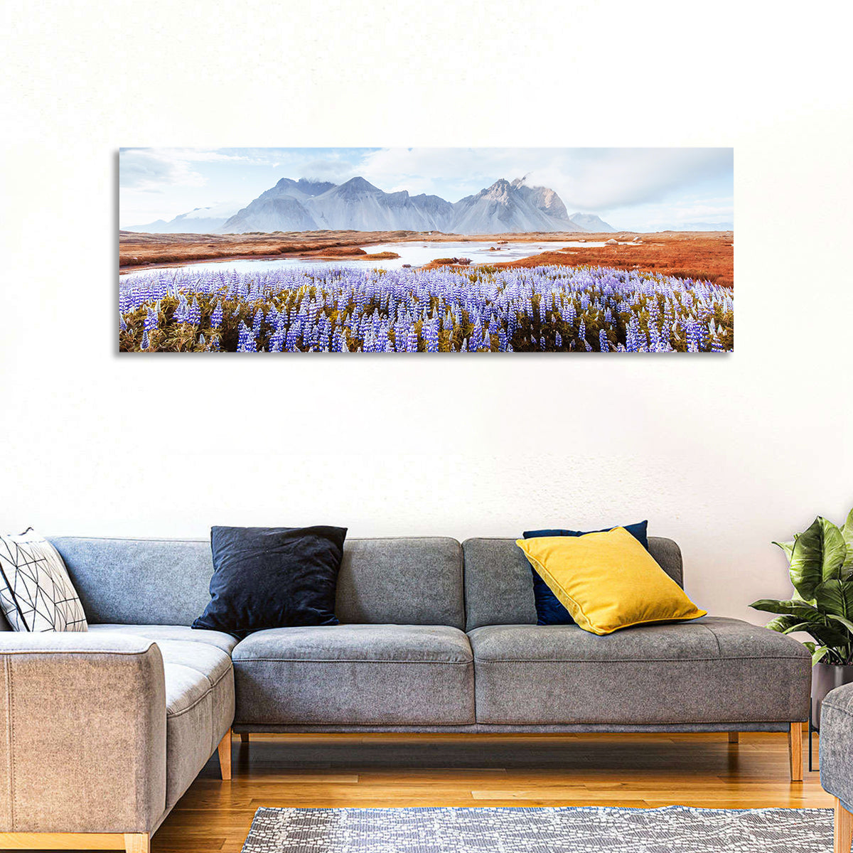Lupine Fields at Vestrahorn Wall Art