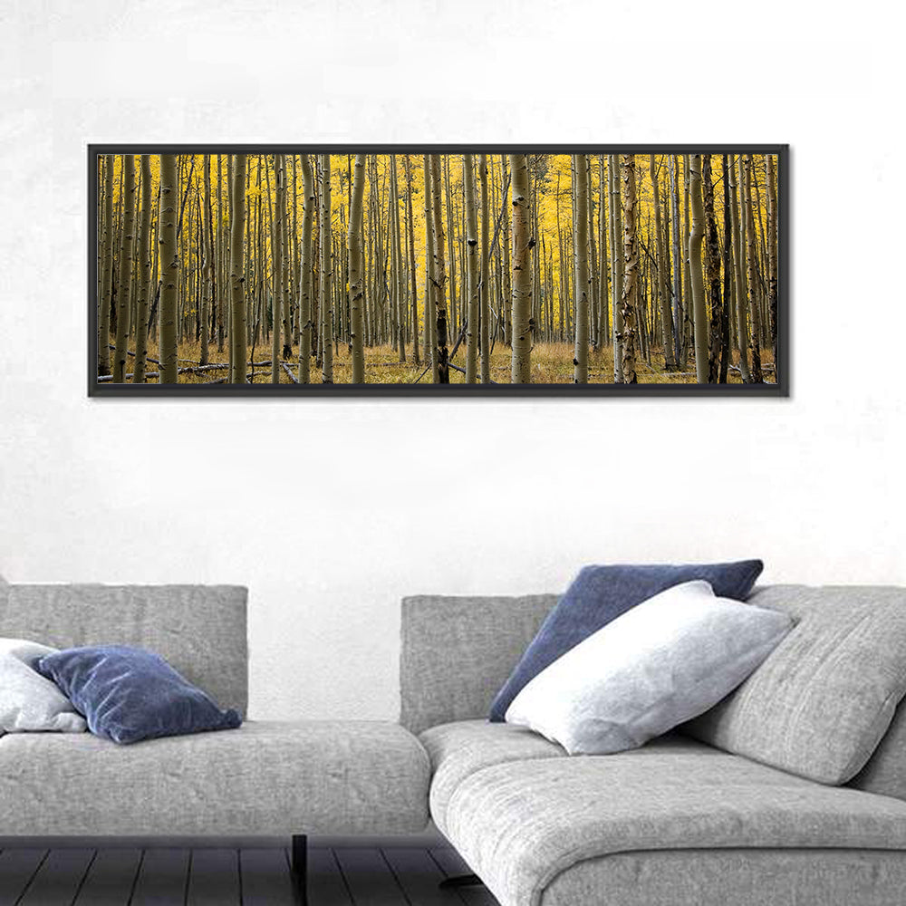 Golden Aspen Grove, Colorado Wall Art in a room, panoramic