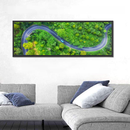 Summer Forest Road Wall Art