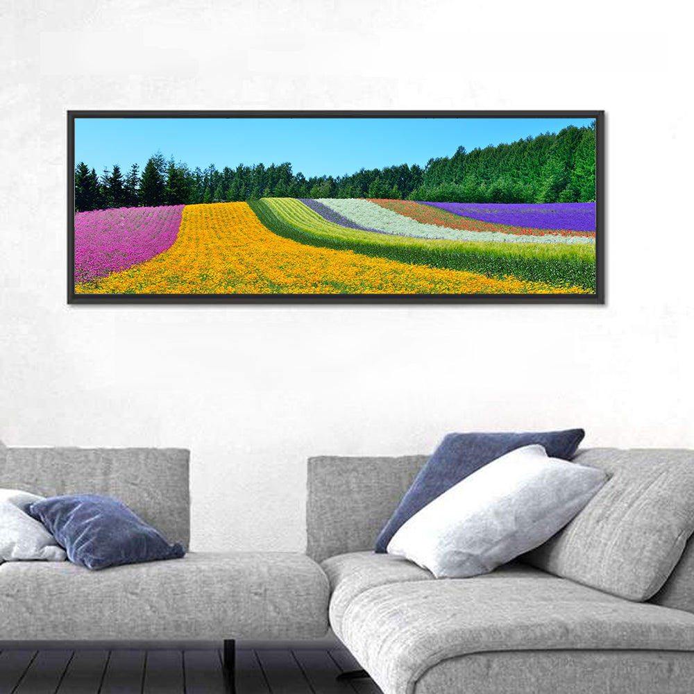 Tomita Flower Fields, Nakafurano Wall Art in a room, panoramic