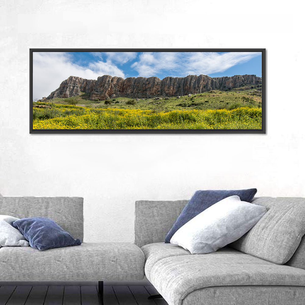 Mount Arbel Wildflower Meadow Wall Art in a room, panoramic