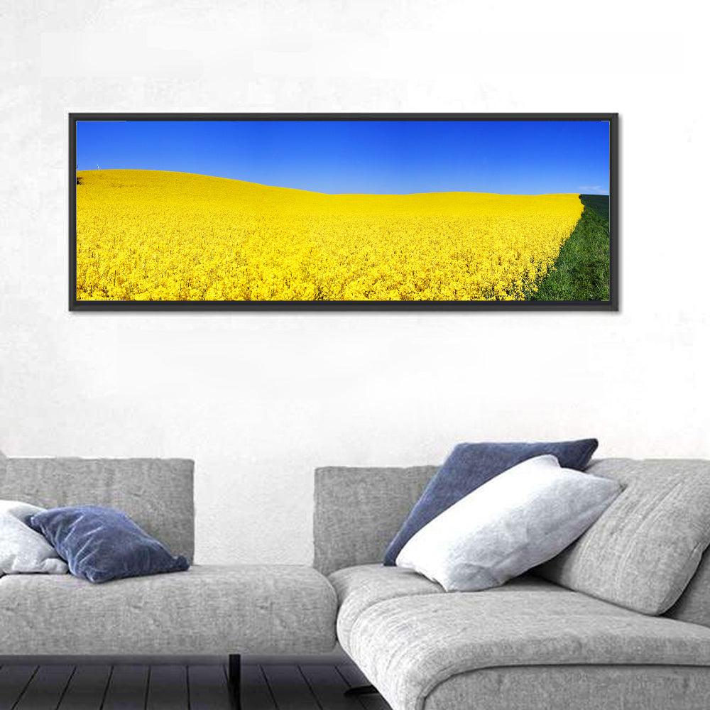 Sunlit Rapeseed Field Wall Art in a room, panoramic