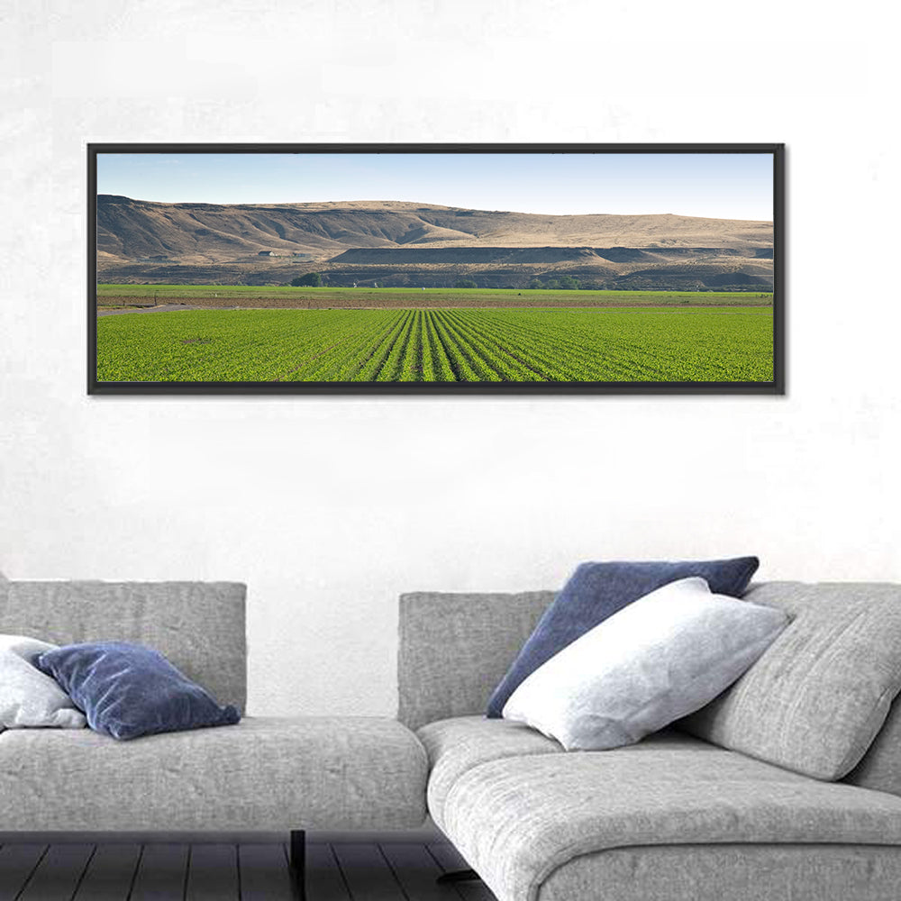 Idaho Corn Field Wall Art in a room, panoramic