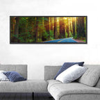 Sunlit Redwood Highway Wall Art