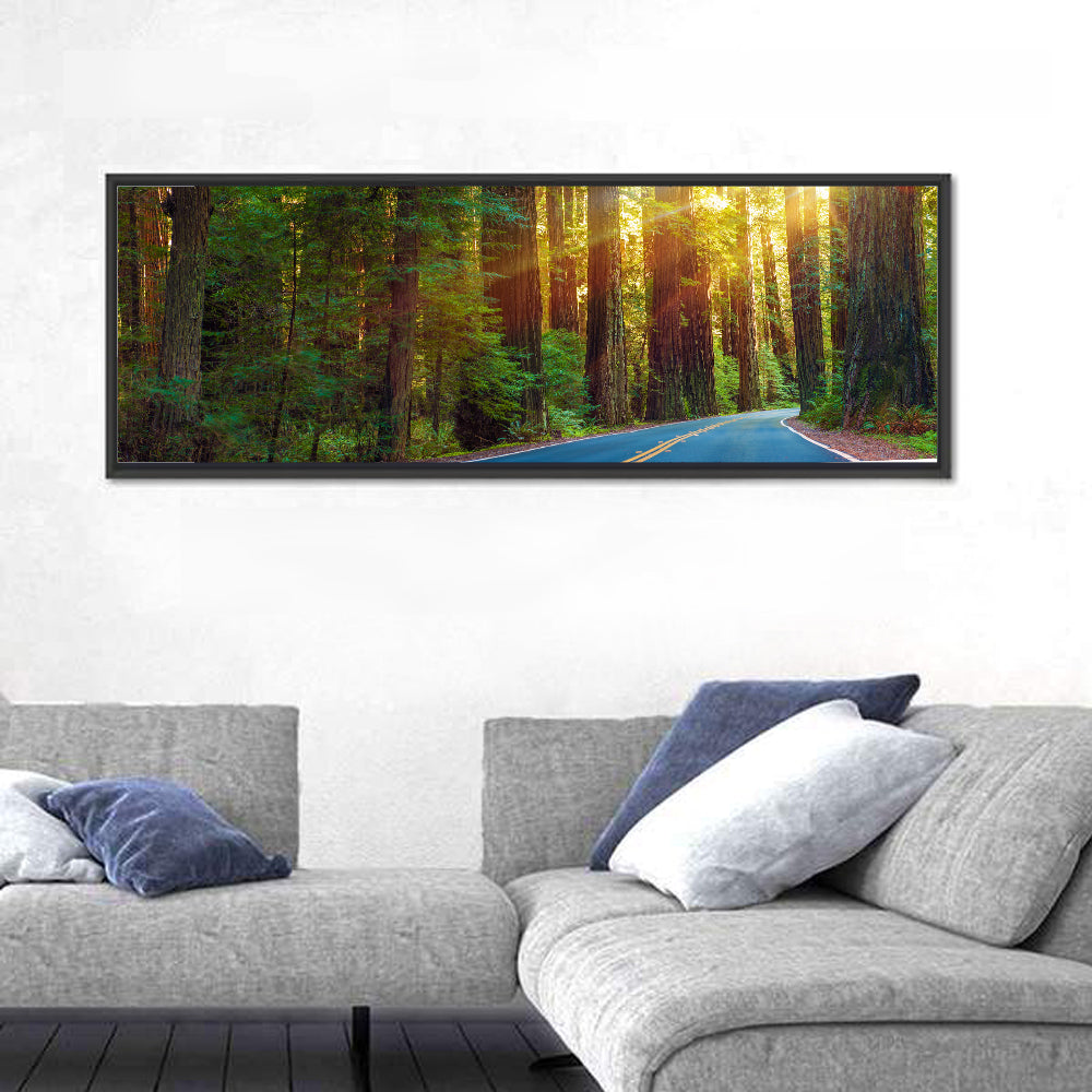 Sunlit Redwood Highway Wall Art
