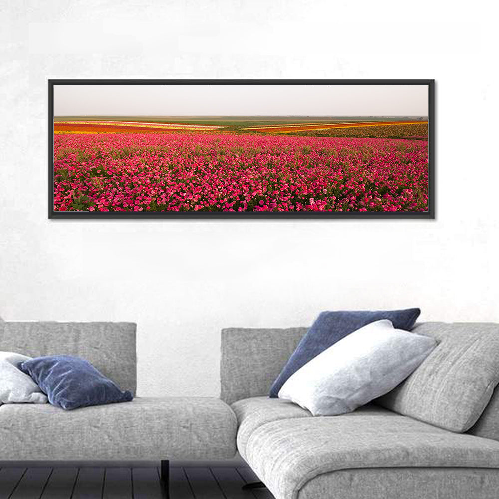 Pink Ranunculus Flower Field Wall Art