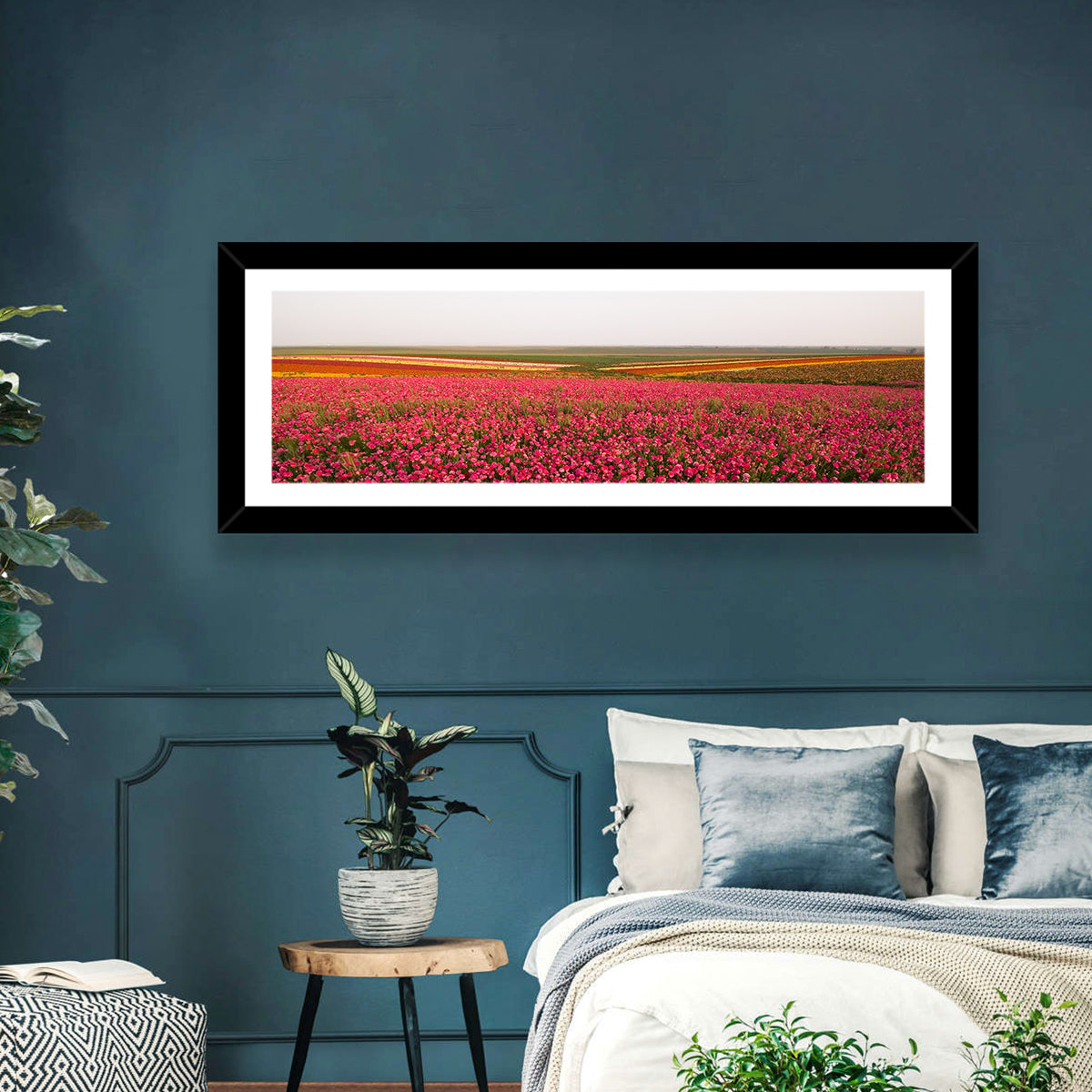 Pink Ranunculus Flower Field Wall Art in a room, panoramic