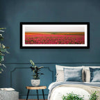 Pink Ranunculus Flower Field Wall Art