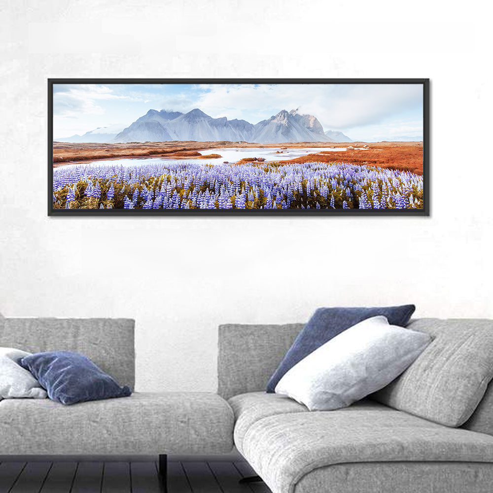 Lupine Fields at Vestrahorn Wall Art in a room, panoramic