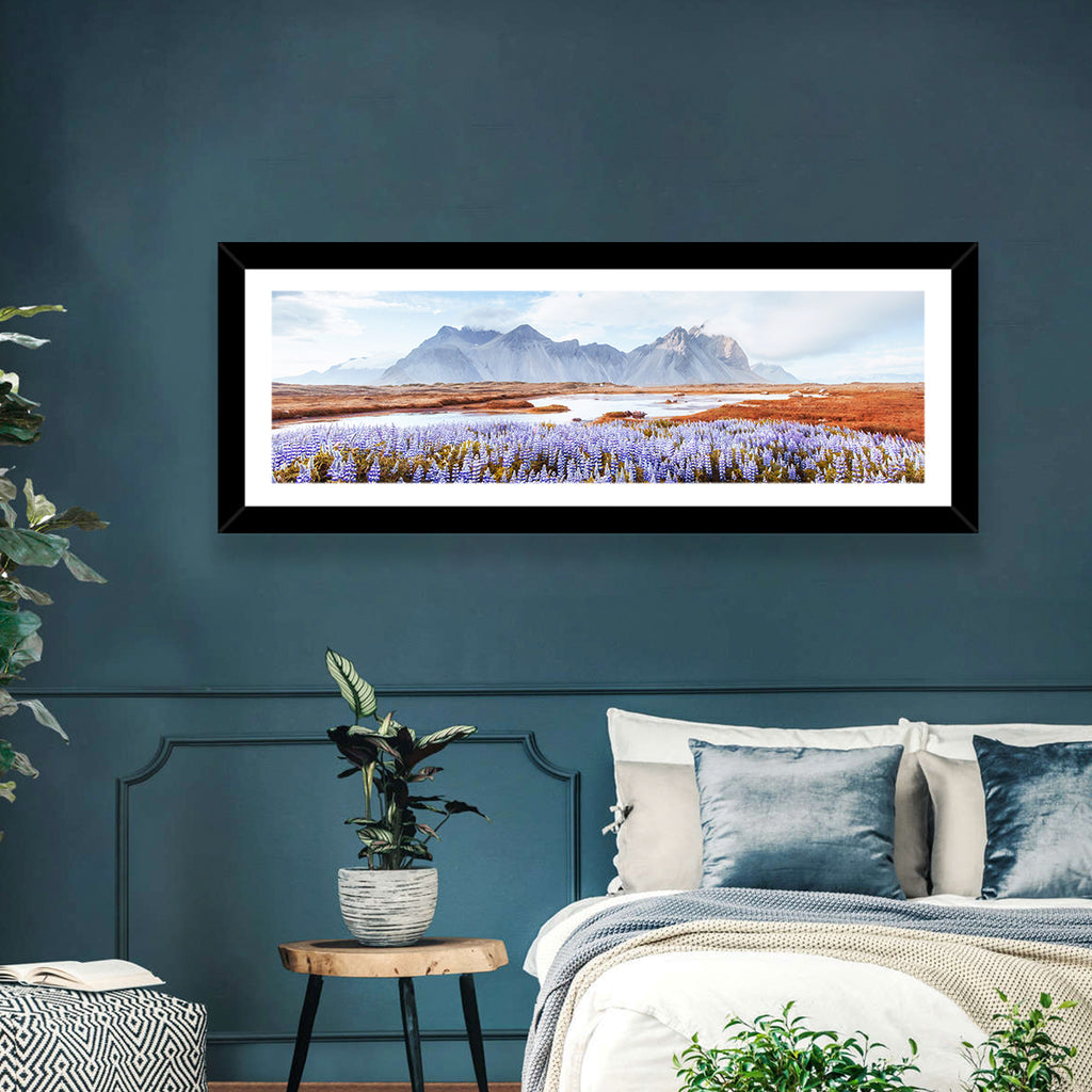 Lupine Fields at Vestrahorn Wall Art