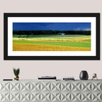 Cornfields Under Stormy Sky Wall Art