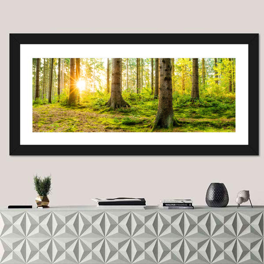 Sunburst Over Mossy Forest Wall Art in a room, panoramic