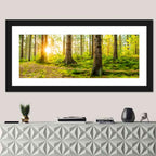 Sunburst Over Mossy Forest Wall Art