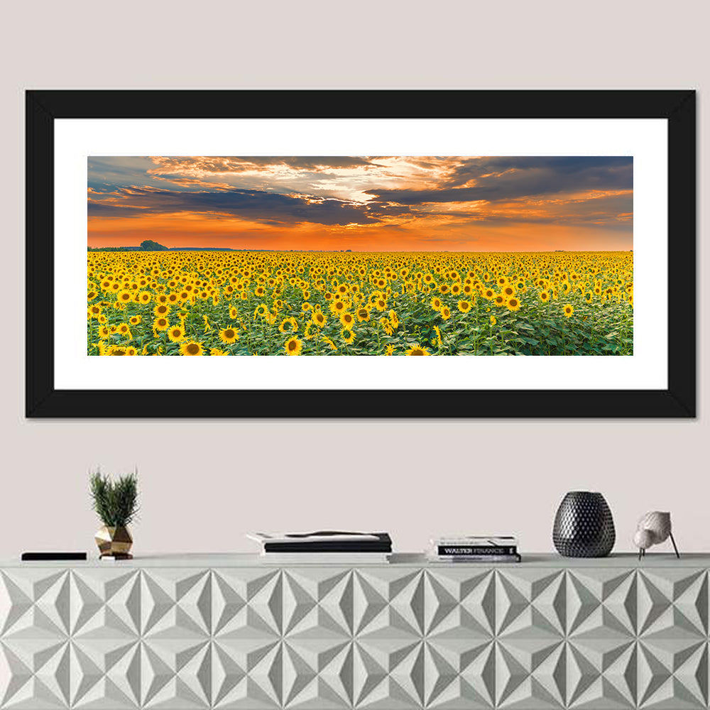 Golden Hour Sunflower Field Wall Art in a room, panoramic