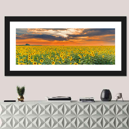 Sunflower Field Wall Art