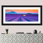 Valensole Lavender Fields at Sunset Wall Art