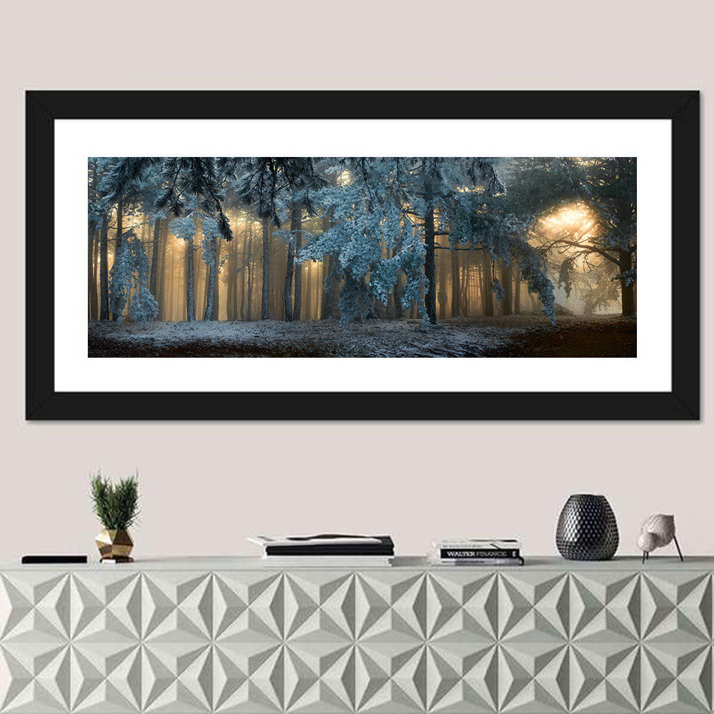 Sunlit Snow Covered Forest Wall Art