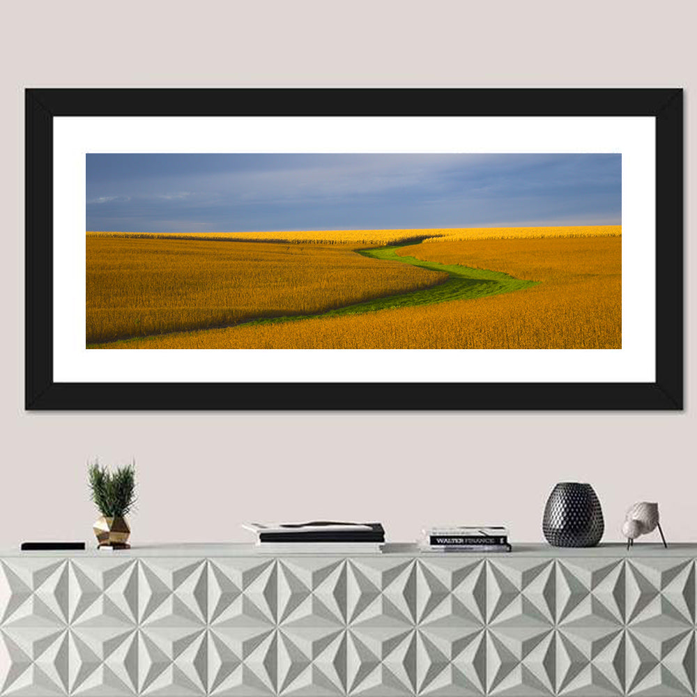 Golden Hour Soybean Field Wall Art in a room, panoramic