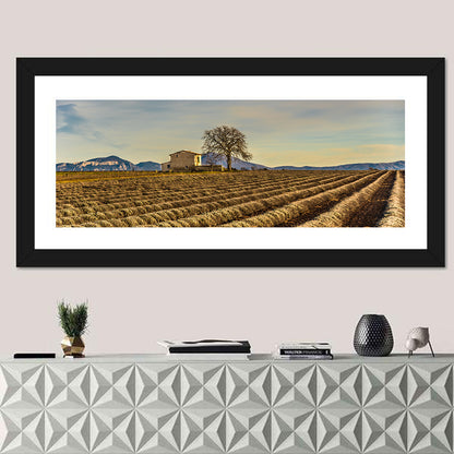 Provence Lavender Wall Art