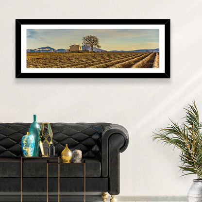 Provence Lavender Wall Art