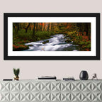Autumn Forest Stream Wall Art