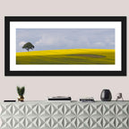 Solitary Tree Over Rapeseed Field Wall Art