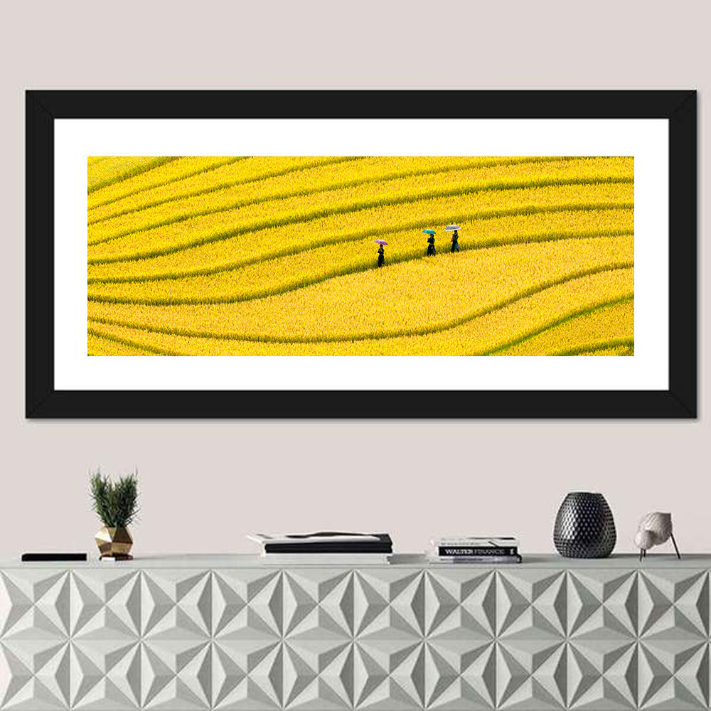 Golden Rice Terraces with Umbrellas Wall Art in a room, panoramic