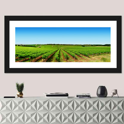 Vineyard Landscape Wall Art