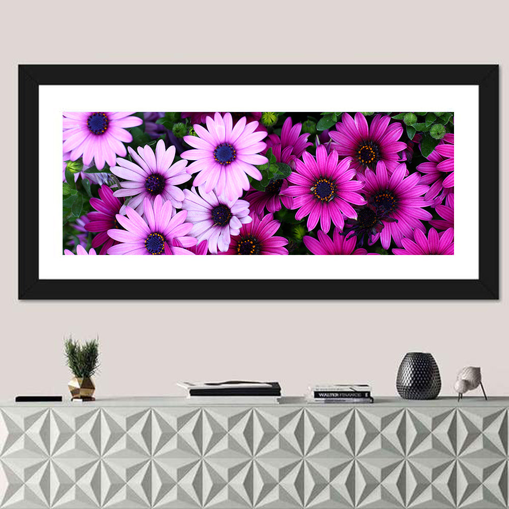 Pink and Purple Daisies Wall Art in a room, panoramic