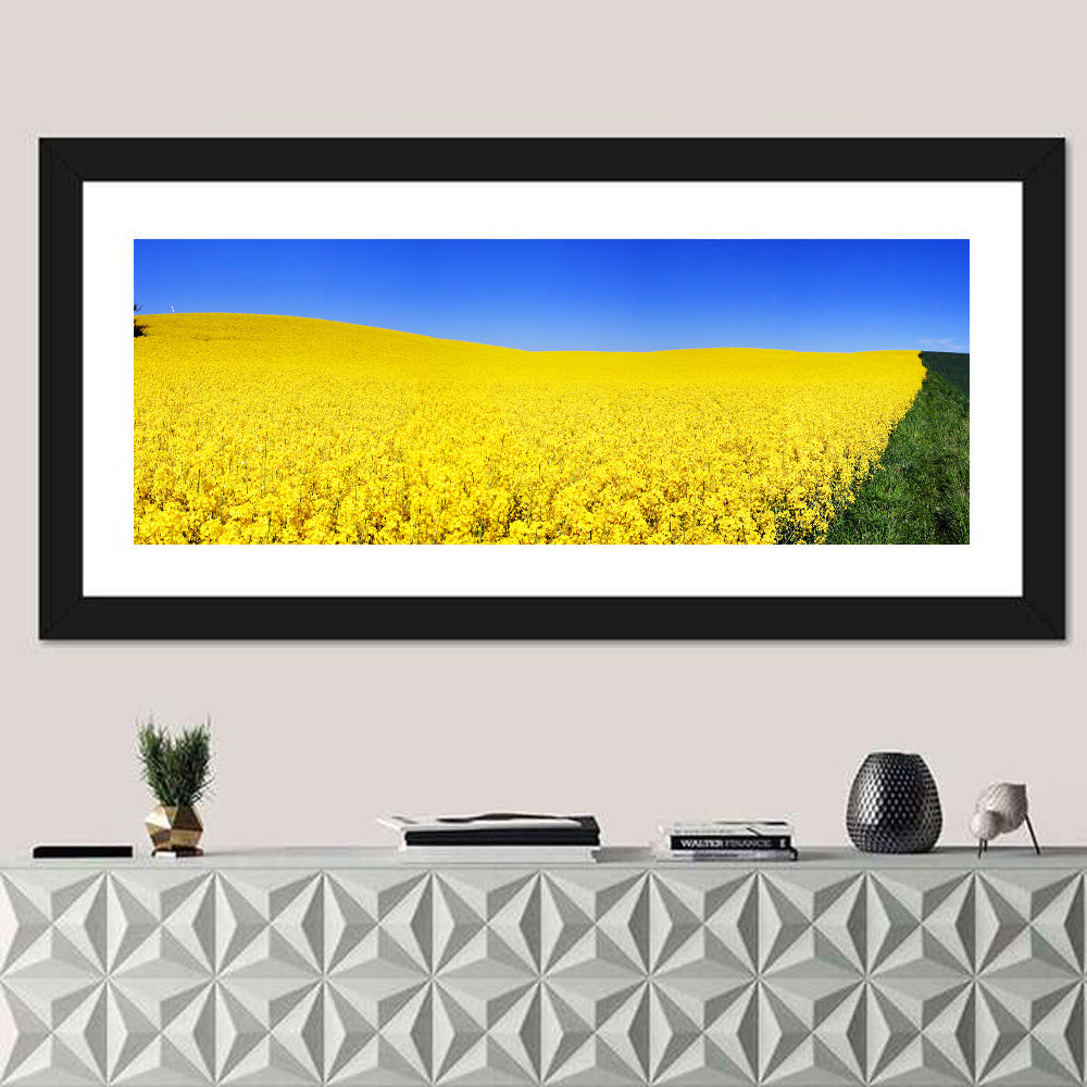 Sunlit Rapeseed Field Wall Art in a room, panoramic